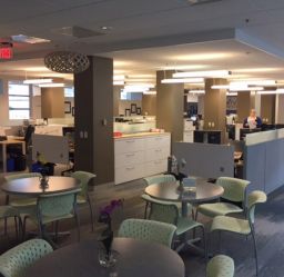Area C - Sublease